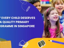 Primary Programme Tuition